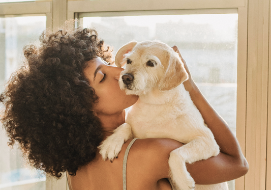 Preventive care every pet owner should know