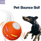 ✨2025 ✨New release - Pet Bounce Ball PawsMagics