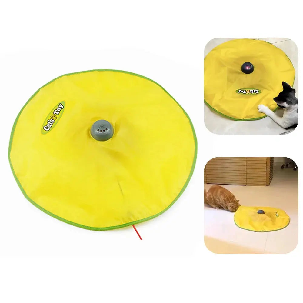 4 Speeds Interactive Electric Cat Toy - PawsMagics