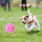 Active Rolling Ball Toy - PawsMagics