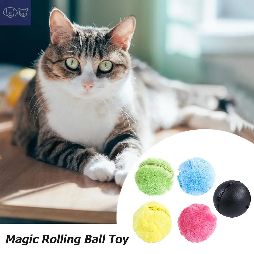 Active Rolling Ball Toy - PawsMagics