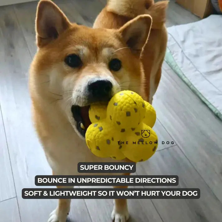 Calming Ball PawsMagics