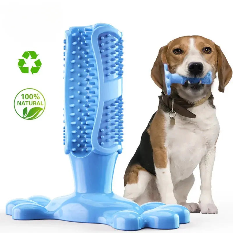 CalmingTeeth - Dog toy and toothbrush, all in one! - PawsMagics