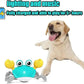 Crawling Crab™ - Interactive Dog Toy - PawsMagics