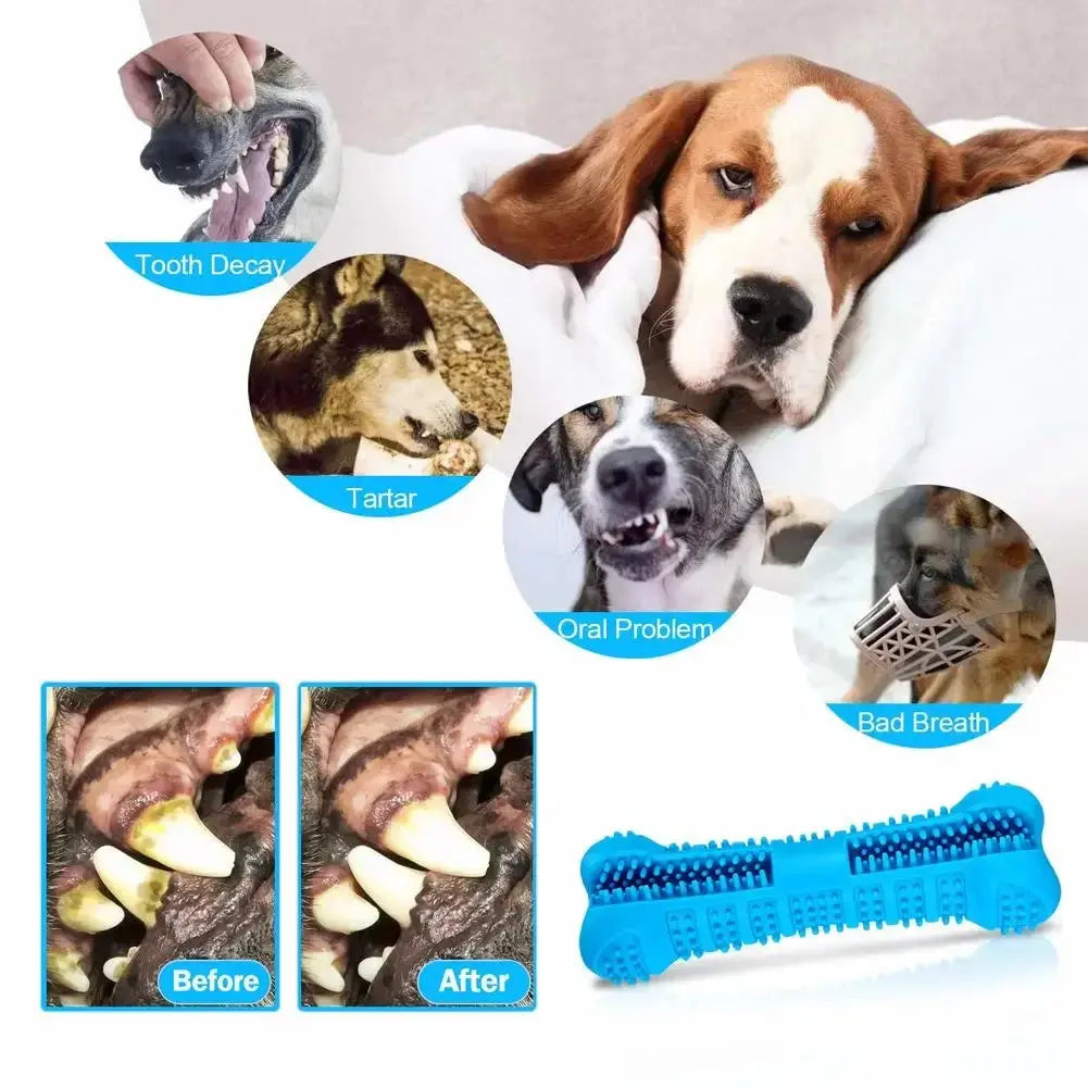 Dog Bone Toothbrush Cleaning - PawsMagics