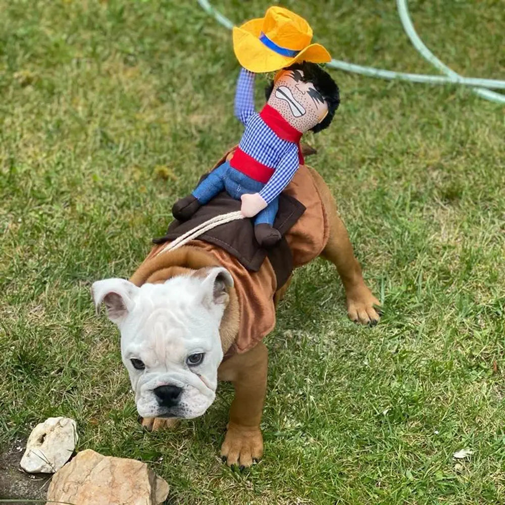 Dog Cowboy Costume PawsMagics