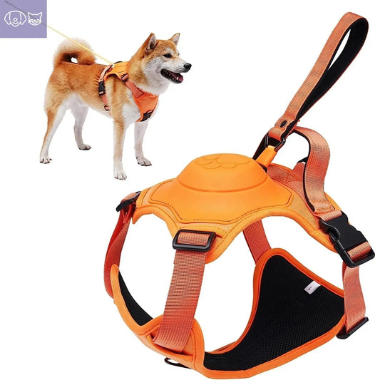 Dog Harness and Retractable Leash Set All-in-One - PawsMagics