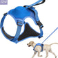 Dog Harness and Retractable Leash Set All-in-One - PawsMagics