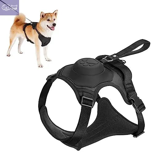 Dog Harness and Retractable Leash Set All-in-One - PawsMagics