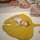 Dog Leaf Blanket - PawsMagics