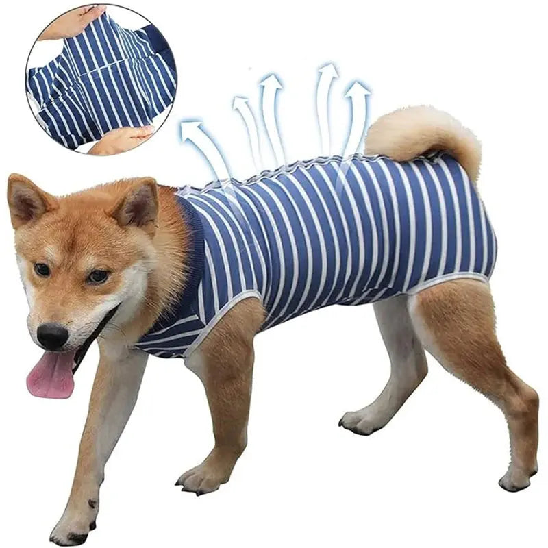 Dog Recovery Suit for Abdominal Wounds – Anti-Licking Onesie PawMoon