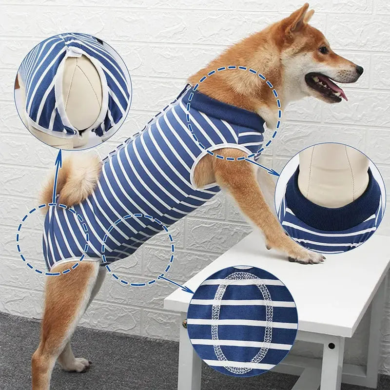 Dog Recovery Suit for Abdominal Wounds – Anti-Licking Onesie PawMoon