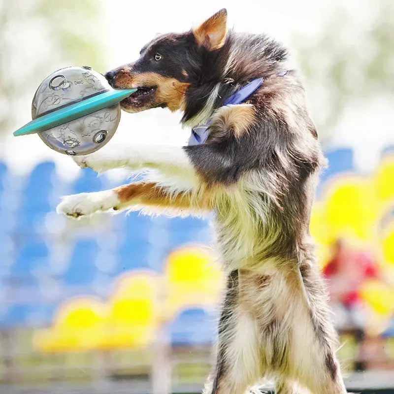 Flying Saucer Dog Game Slow Food Feeder - PawsMagics