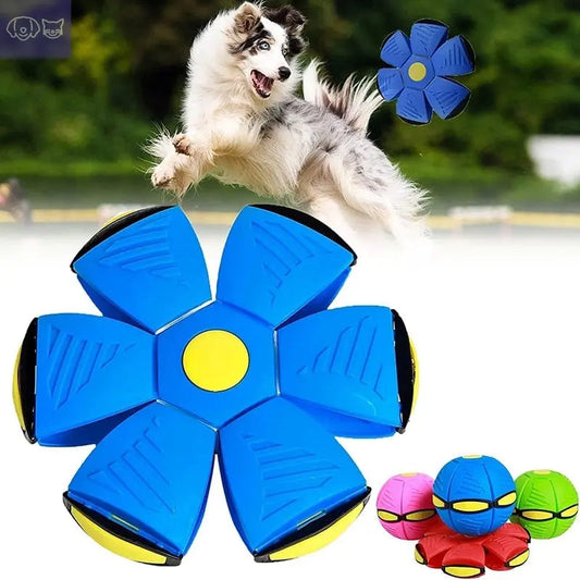 Magic Decompression Multi-Function UFO Ball - PawsMagics