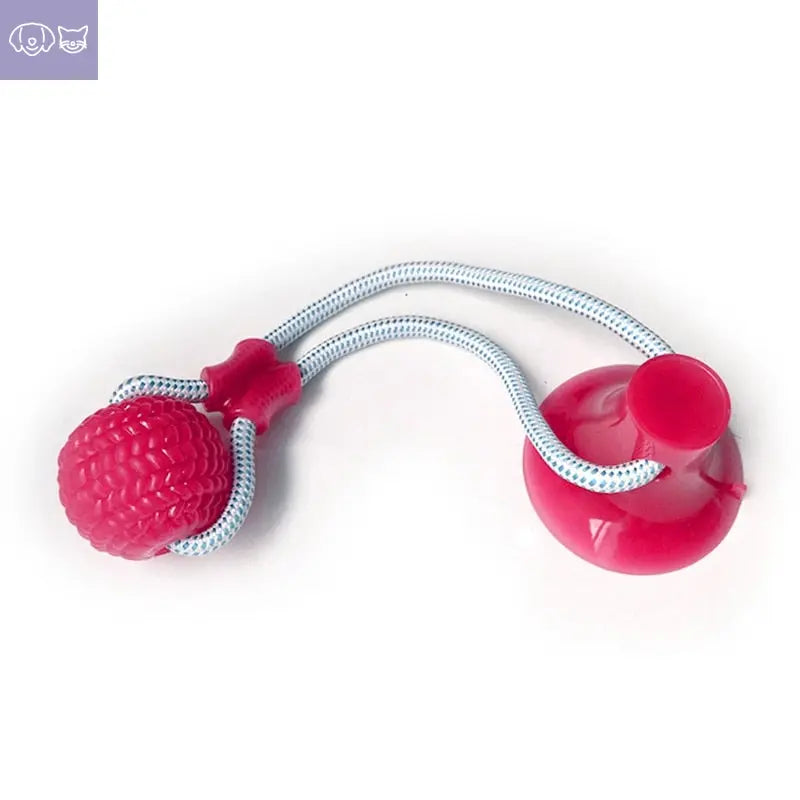 Multifunction Pet Molar Bite Toy - PawsMagics