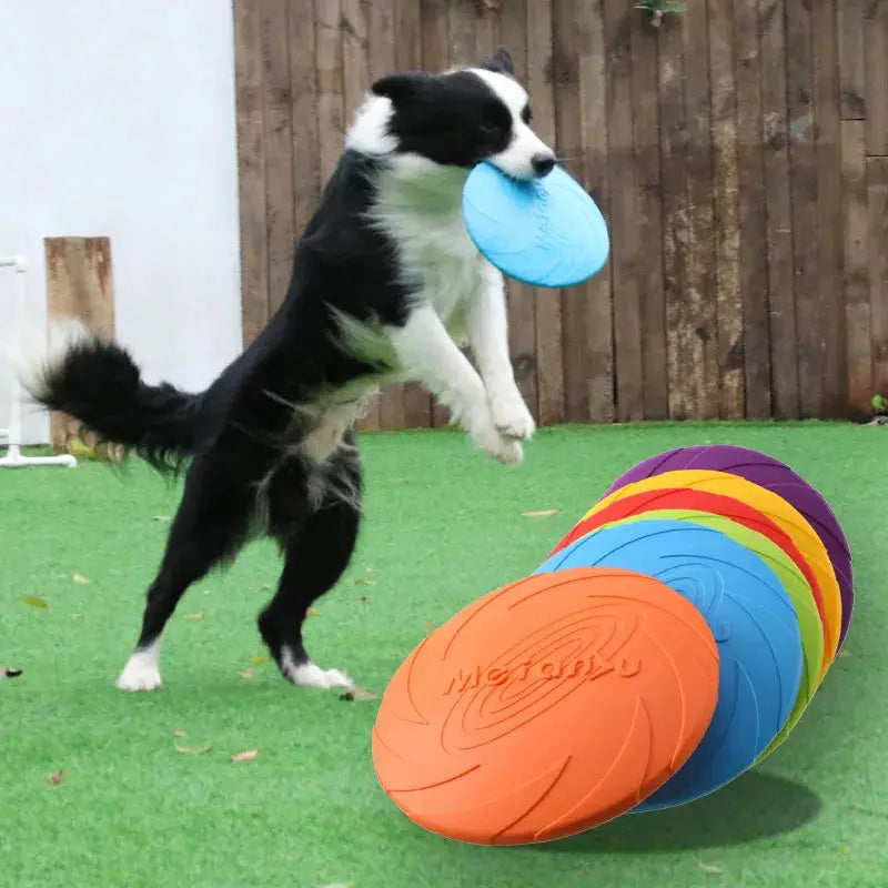 OUZEY Bite Resistant Flying Disc Toys For Dog IHeartPaw