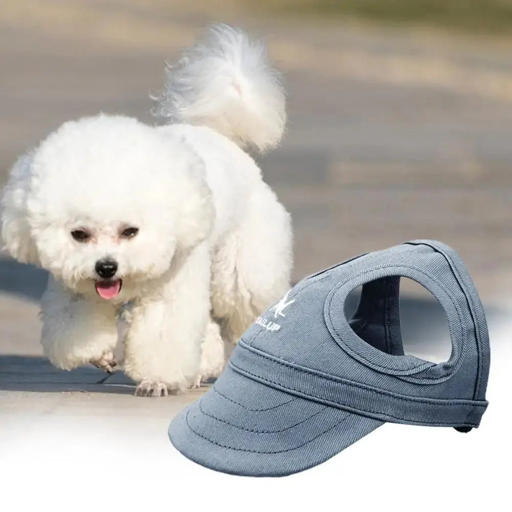 🔥Outdoor Sun Protection Hood For Dogs PawMoon