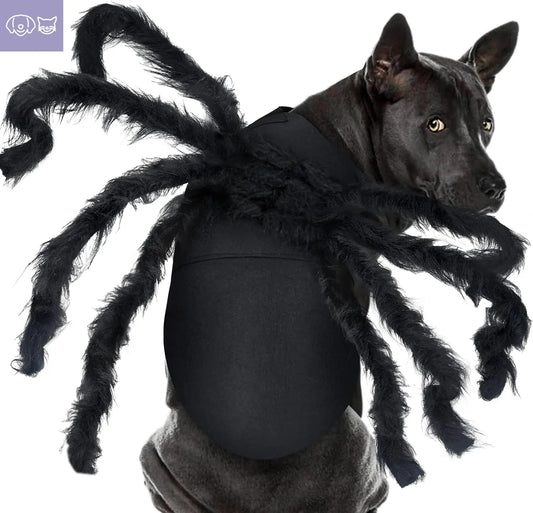 Pet Spider Costume - Halloween Spider Costume for Cats and dogs PawsMagics