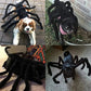 Pet Spider Costume - Halloween Spider Costume for Cats and dogs PawsMagics