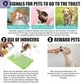 Pet Training Spray PawsMagics