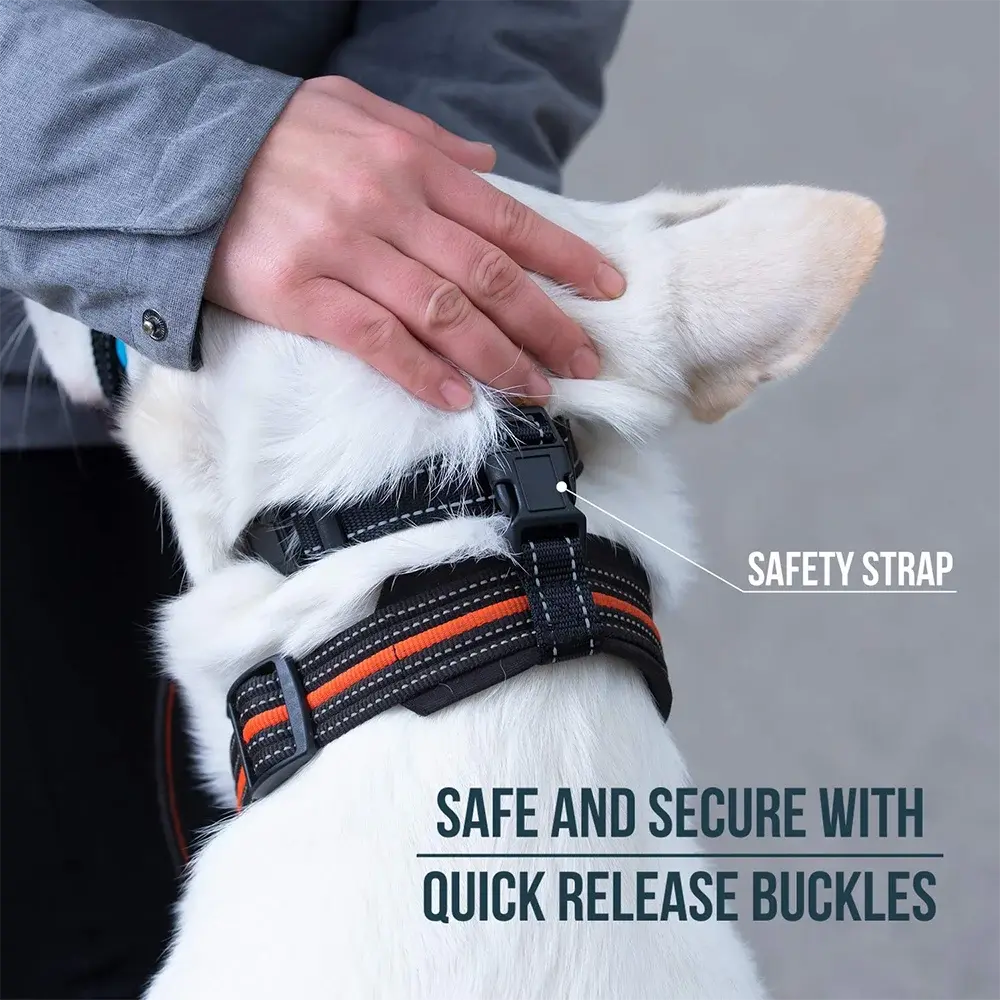 QuickEase Head Halter Muzzle | Anti-Bite & No-Pull Control PawsMagics