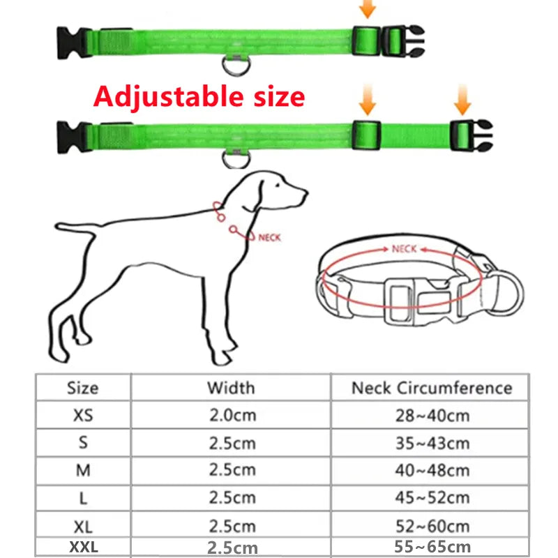 USB RECHARGEABLE LED GLOWING DOG COLLAR - PawsMagics
