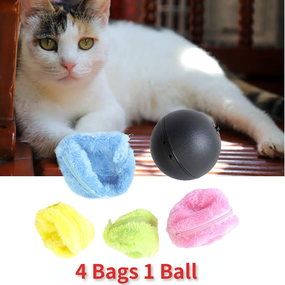 Active Rolling Ball Toy - PawsMagics