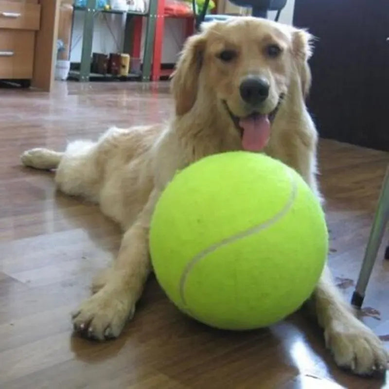 BarkBall - The Ultimate Giant Tennis Ball for Dogs - PawsMagics