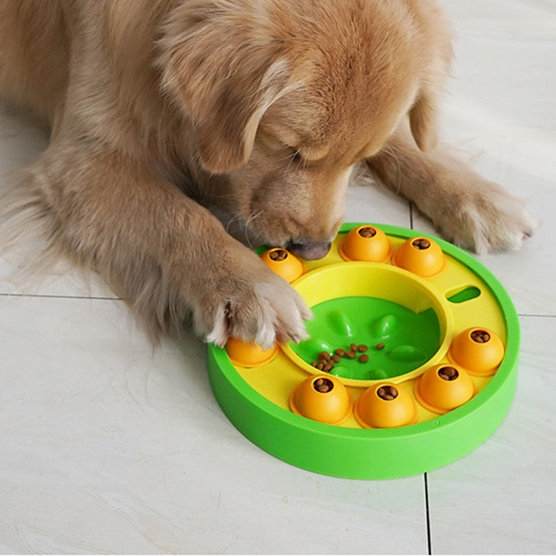 Wisdom Dog Toys Slow Feeding Training Food Tray - PawsMagics