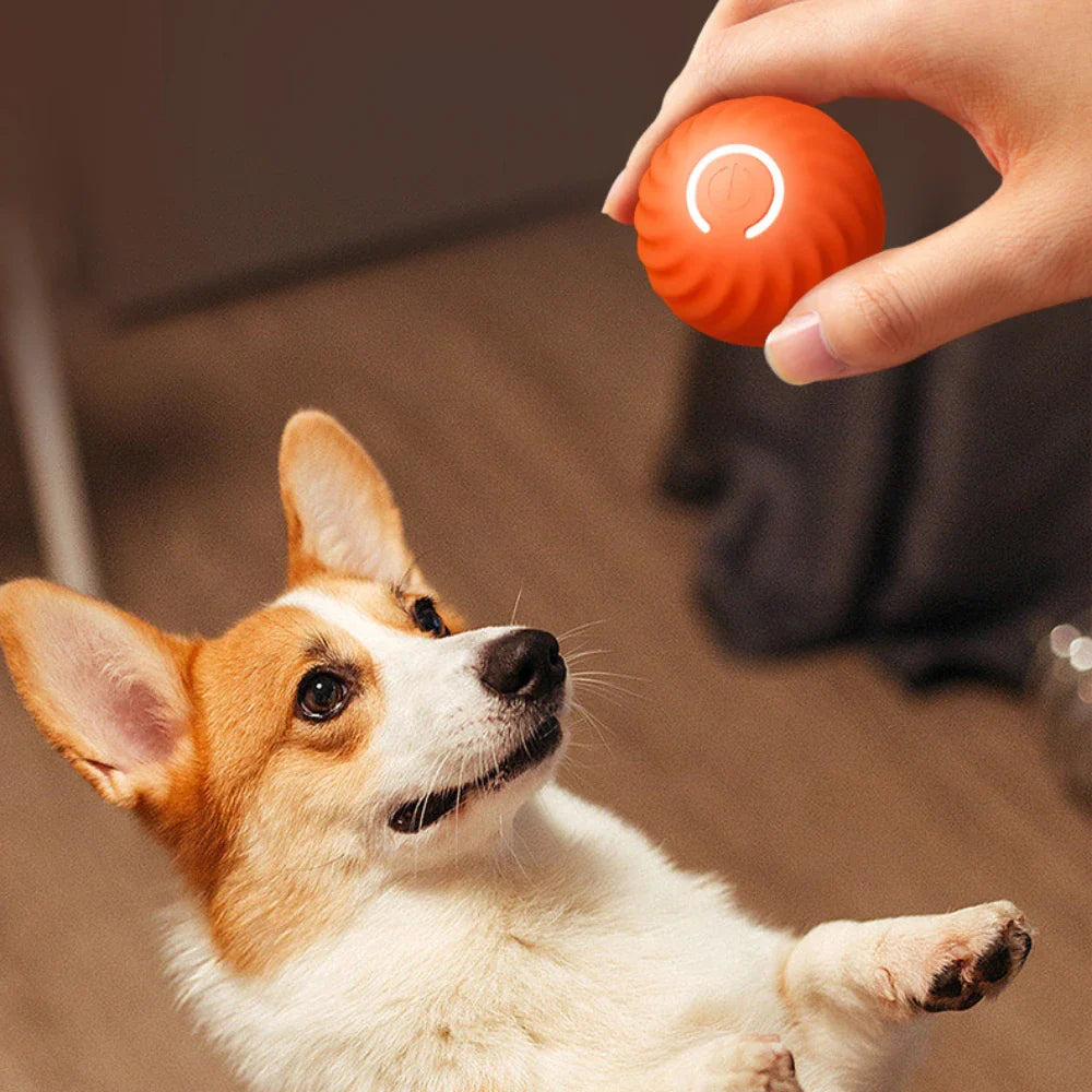 Automatic Smart Teasing Dog Ball🐶 - PawsMagics