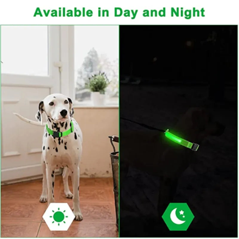 USB RECHARGEABLE LED GLOWING DOG COLLAR - PawsMagics