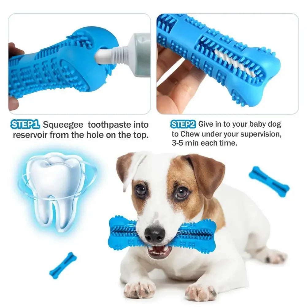 Dog Bone Toothbrush Cleaning - PawsMagics