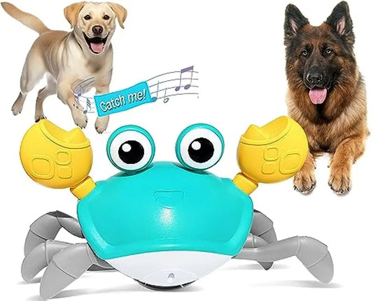 Crawling Crab™ - Interactive Dog Toy - PawsMagics