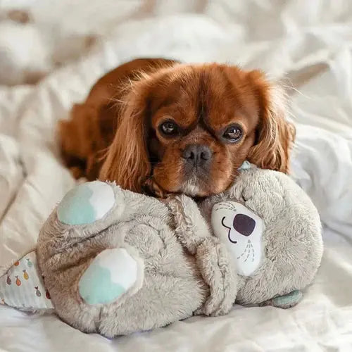 Snugglepup™️ - Calming Dog Toy - PawsMagics