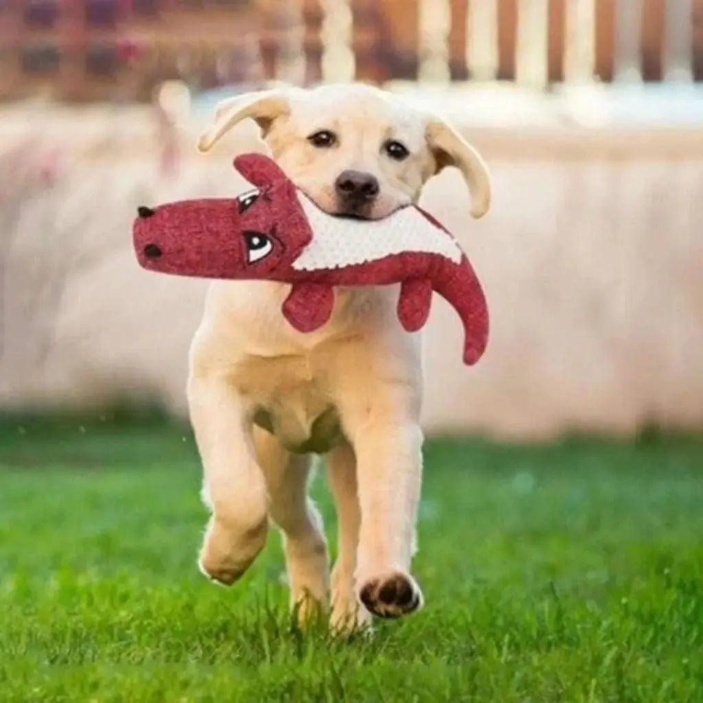 Squeaky crocodile plush for aggressive chewers🐾 - PawsMagics