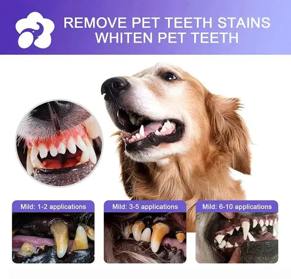 Teeth Cleaning Spray for Pet, Eliminate Bad Breath, Targets Tartar & Plaque - PawsMagics