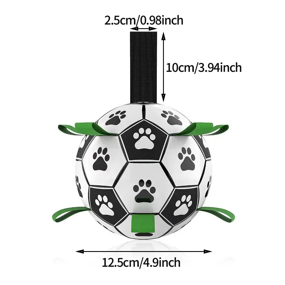 The Dog Ball - PawsMagics