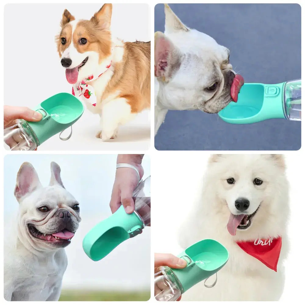 Thirst Doge Portable Dog Water Bottle - PawsMagics