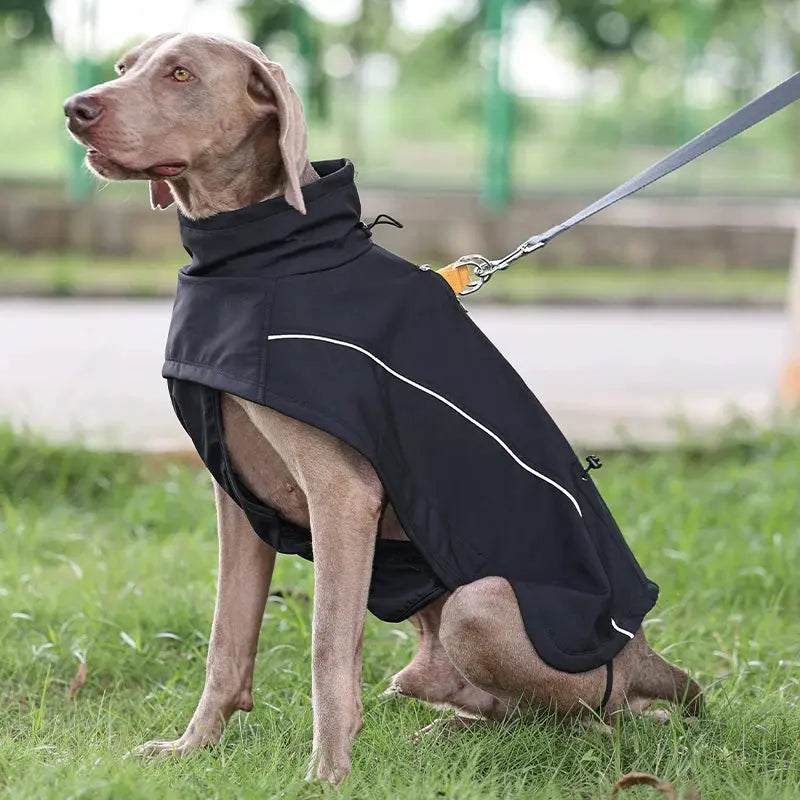 TripleShield Softshell Pet Jacket PawsMagics