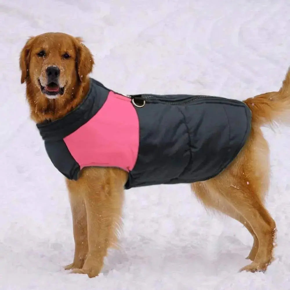 🐕Winter Warm Waterproof Dog Vest with Zipper (Size S-7XL)✨ PawsMagics